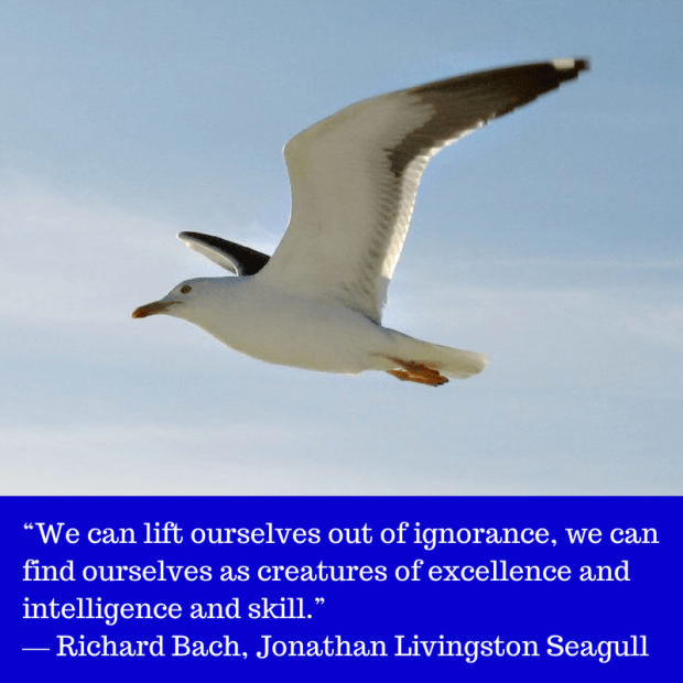 Lift Yourself Through Excellence 